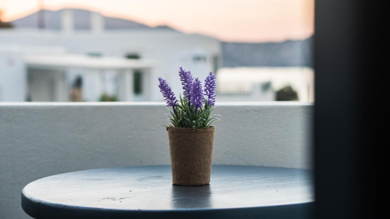 Vista Mare Hotel Náousa Eksteriør billede